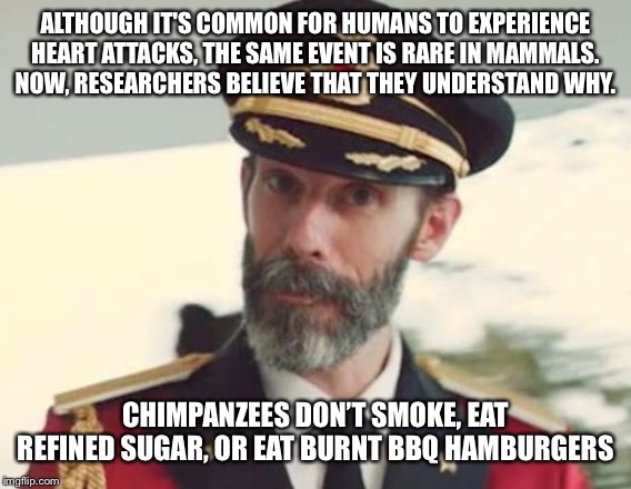 Captain Obvious | ALTHOUGH IT'S COMMON FOR HUMANS TO EXPERIENCE HEART ATTACKS, THE SAME EVENT IS RARE IN MAMMALS. NOW, RESEARCHERS BELIEVE THAT THEY UNDERSTAND WHY. CHIMPANZEES DON’T SMOKE, EAT REFINED SUGAR, OR EAT BURNT BBQ HAMBURGERS | image tagged in captain obvious | made w/ Imgflip meme maker