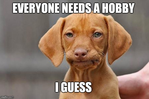 Dissapointed puppy | EVERYONE NEEDS A HOBBY I GUESS | image tagged in dissapointed puppy | made w/ Imgflip meme maker
