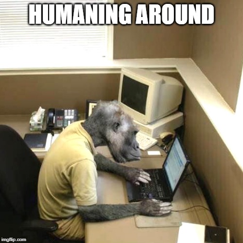 Homo Sapiens Be Like | HUMANING AROUND | image tagged in memes,monkey business,humanity,work | made w/ Imgflip meme maker