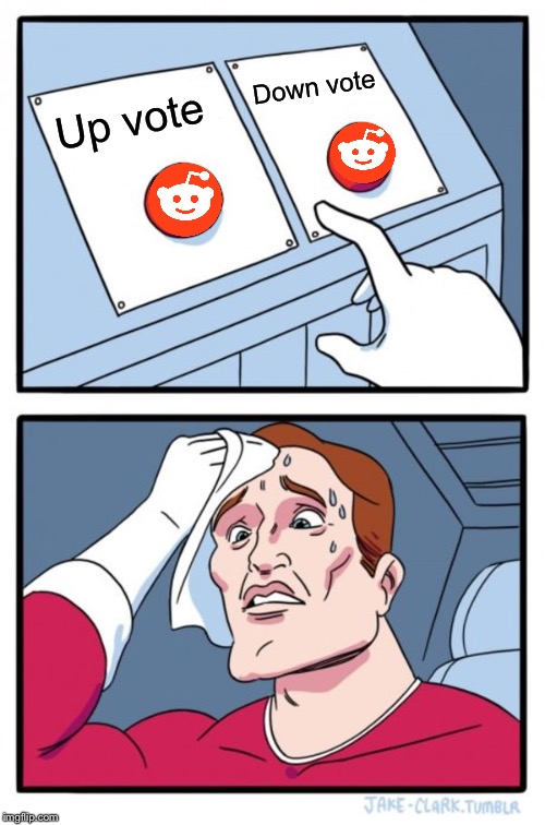 Two Buttons | Down vote; Up vote | image tagged in memes,two buttons | made w/ Imgflip meme maker