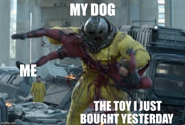 MY DOG; ME; THE TOY I JUST BOUGHT YESTERDAY | image tagged in deadpool,marvel,dog | made w/ Imgflip meme maker