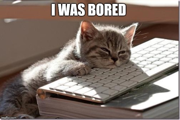 Bored Keyboard Cat | I WAS BORED | image tagged in bored keyboard cat | made w/ Imgflip meme maker