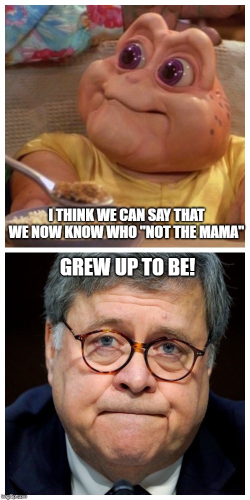 Not the Mama | I THINK WE CAN SAY THAT WE NOW KNOW WHO "NOT THE MAMA"; GREW UP TO BE! | image tagged in politics | made w/ Imgflip meme maker