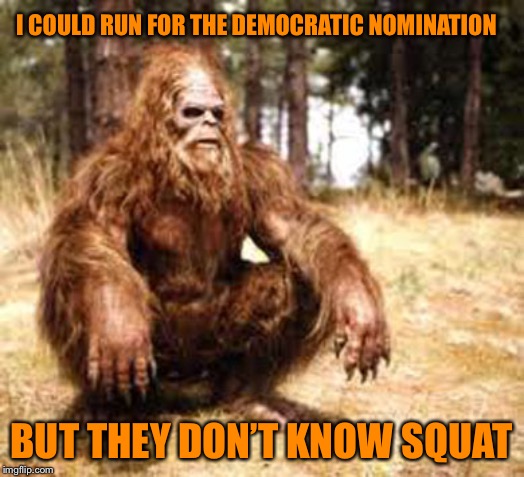 bigfoot | I COULD RUN FOR THE DEMOCRATIC NOMINATION; BUT THEY DON’T KNOW SQUAT | image tagged in bigfoot | made w/ Imgflip meme maker