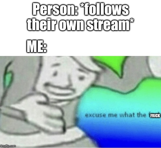 Don’t get at all | Person: *follows their own stream*; ME:; FRICK | image tagged in excuse me wtf blank template,ur mom gay | made w/ Imgflip meme maker