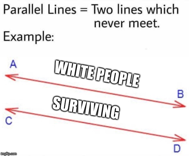 Horror movie logic | WHITE PEOPLE; SURVIVING | image tagged in parallel lines | made w/ Imgflip meme maker