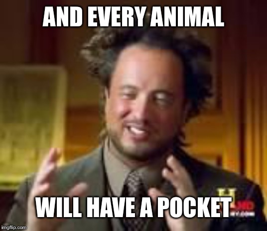 history guy funny | AND EVERY ANIMAL WILL HAVE A POCKET | image tagged in history guy funny | made w/ Imgflip meme maker