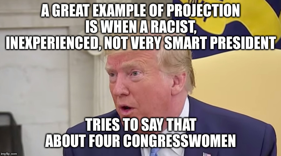 We're not buying it though | A GREAT EXAMPLE OF PROJECTION IS WHEN A RACIST, INEXPERIENCED, NOT VERY SMART PRESIDENT; TRIES TO SAY THAT ABOUT FOUR CONGRESSWOMEN | image tagged in trump,humor,squad,congress | made w/ Imgflip meme maker