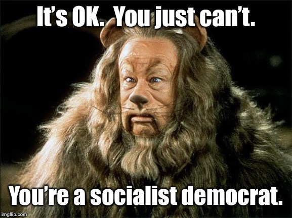 cowardly lion | It’s OK.  You just can’t. You’re a socialist democrat. | image tagged in cowardly lion | made w/ Imgflip meme maker