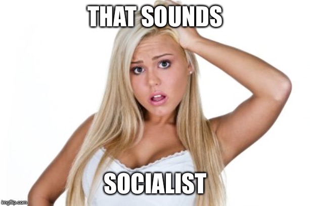 Dumb Blonde | THAT SOUNDS SOCIALIST | image tagged in dumb blonde | made w/ Imgflip meme maker