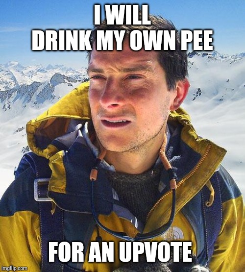 Bear Grylls Meme | I WILL DRINK MY OWN PEE; FOR AN UPVOTE | image tagged in memes,bear grylls | made w/ Imgflip meme maker