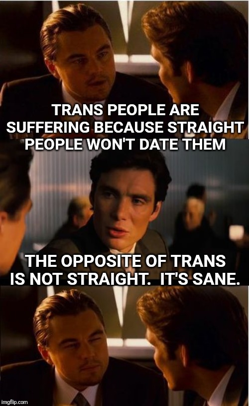 Inception Meme | TRANS PEOPLE ARE SUFFERING BECAUSE STRAIGHT PEOPLE WON'T DATE THEM; THE OPPOSITE OF TRANS IS NOT STRAIGHT.  IT'S SANE. | image tagged in inception,trans,transgender,insane | made w/ Imgflip meme maker