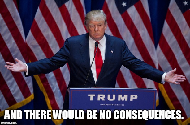 Donald Trump | AND THERE WOULD BE NO CONSEQUENCES. | image tagged in donald trump | made w/ Imgflip meme maker