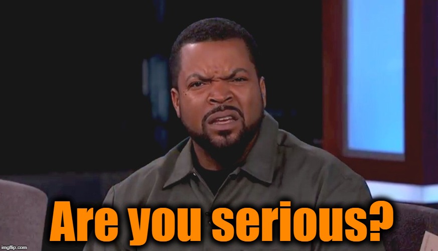 Really? Ice Cube | Are you serious? | image tagged in really ice cube | made w/ Imgflip meme maker