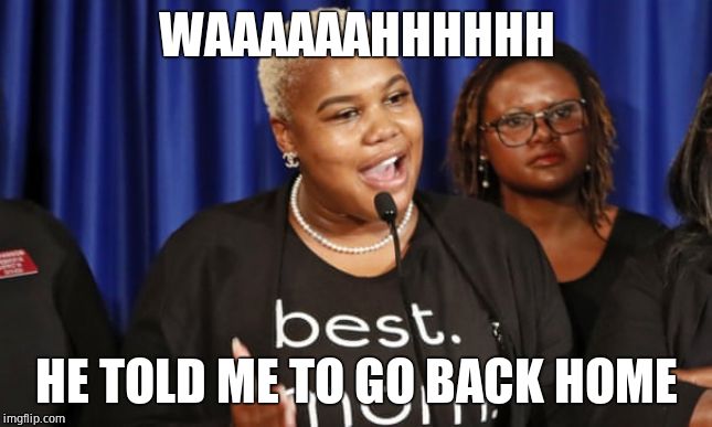 No he didn't, you liar. Yet another faked hate crime. | WAAAAAAHHHHHH; HE TOLD ME TO GO BACK HOME | image tagged in erica thomas,liar,fraud,fake news | made w/ Imgflip meme maker