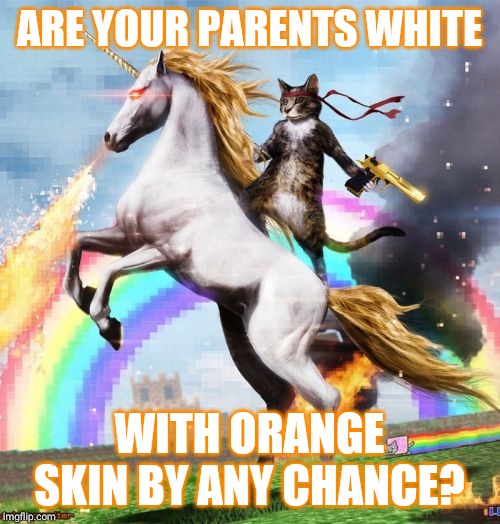 Welcome To The Internets Meme | ARE YOUR PARENTS WHITE WITH ORANGE SKIN BY ANY CHANCE? | image tagged in memes,welcome to the internets | made w/ Imgflip meme maker