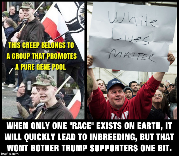 image tagged in neo-nazis,trump supporters,inbred,all lives matter,rednecks,idiot | made w/ Imgflip meme maker