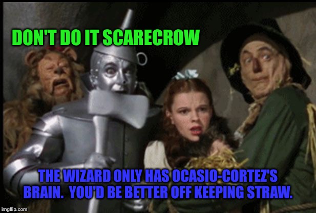 wizard of oz scarecrow brain