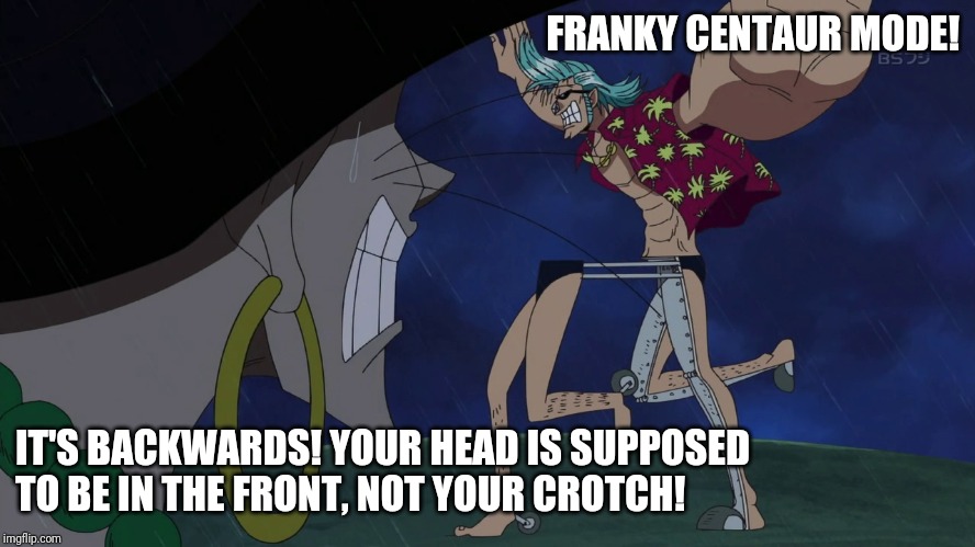 FRANKY CENTAUR MODE! IT'S BACKWARDS! YOUR HEAD IS SUPPOSED TO BE IN THE FRONT, NOT YOUR CROTCH! | image tagged in franky,one piece | made w/ Imgflip meme maker