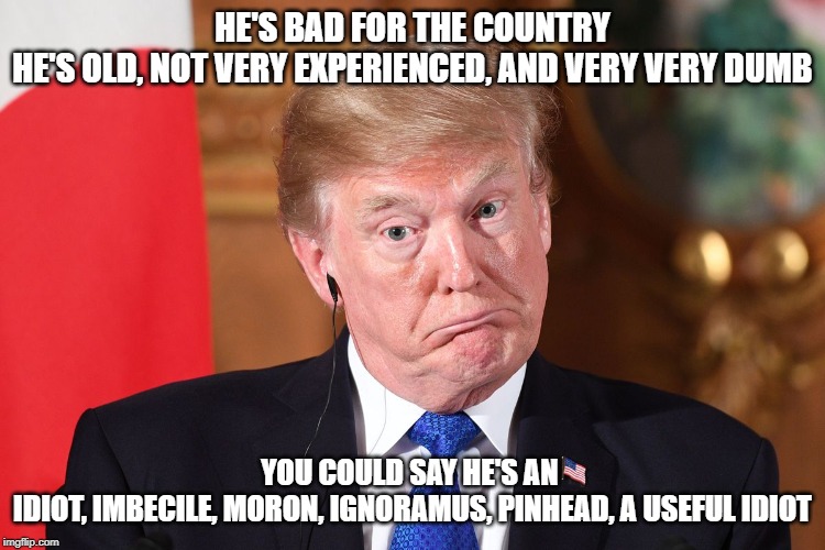 trump the idiot | HE'S BAD FOR THE COUNTRY
HE'S OLD, NOT VERY EXPERIENCED, AND VERY VERY DUMB; YOU COULD SAY HE'S AN 
IDIOT, IMBECILE, MORON, IGNORAMUS, PINHEAD, A USEFUL IDIOT | image tagged in bad for the country,old,experienced,inexperienced,dumb,idiot | made w/ Imgflip meme maker