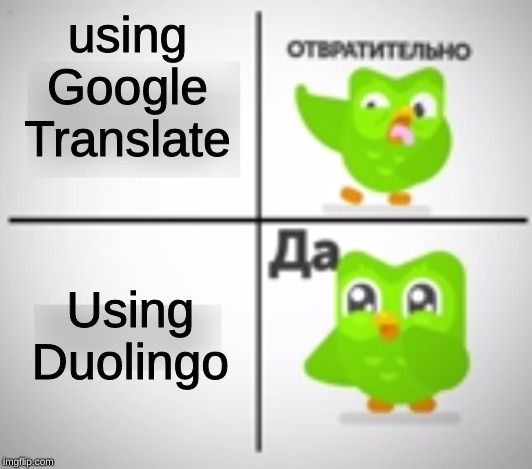 Drake Hotline Bling (Duolingo version) | using Google Translate; Using Duolingo | image tagged in drake hotbling duolingo version | made w/ Imgflip meme maker