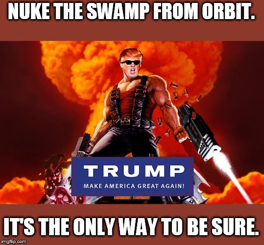 Trump Nukem | NUKE THE SWAMP FROM ORBIT. IT'S THE ONLY WAY TO BE SURE. | image tagged in trump nukem | made w/ Imgflip meme maker