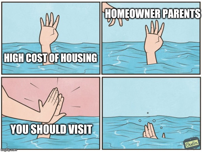 High five drown | HOMEOWNER PARENTS; HIGH COST OF HOUSING; YOU SHOULD VISIT | image tagged in high five drown | made w/ Imgflip meme maker