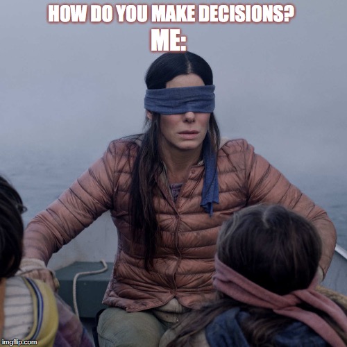 Bird Box | ME:; HOW DO YOU MAKE DECISIONS? | image tagged in memes,bird box | made w/ Imgflip meme maker