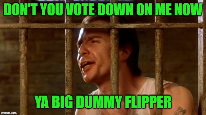 DON'T YOU VOTE DOWN ON ME NOW YA BIG DUMMY FLIPPER | made w/ Imgflip meme maker