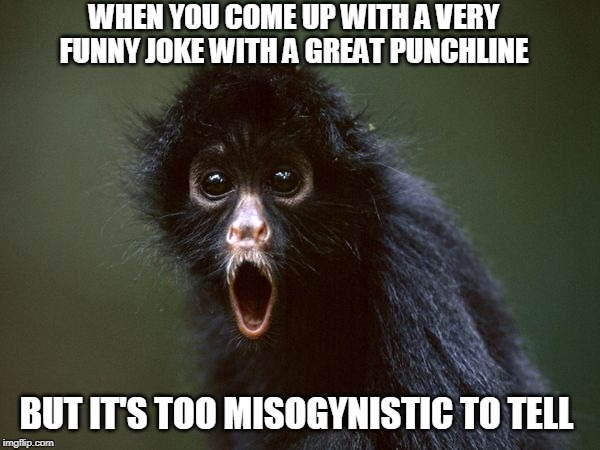 I'm lying, I don't have a joke. I just like the photo | WHEN YOU COME UP WITH A VERY FUNNY JOKE WITH A GREAT PUNCHLINE; BUT IT'S TOO MISOGYNISTIC TO TELL | image tagged in ooooh | made w/ Imgflip meme maker