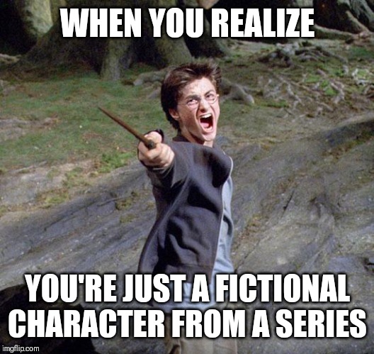 Harry potter | WHEN YOU REALIZE; YOU'RE JUST A FICTIONAL CHARACTER FROM A SERIES | image tagged in harry potter | made w/ Imgflip meme maker