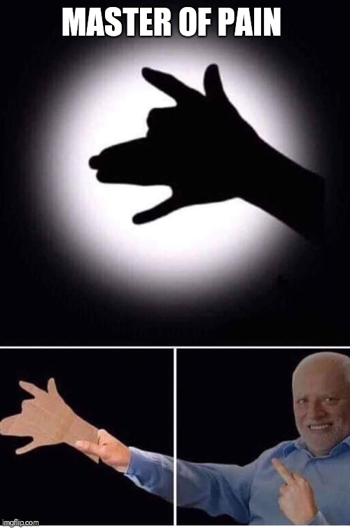 In the house | MASTER OF PAIN | image tagged in memes,hide the pain harold,funny,house,pineapple | made w/ Imgflip meme maker