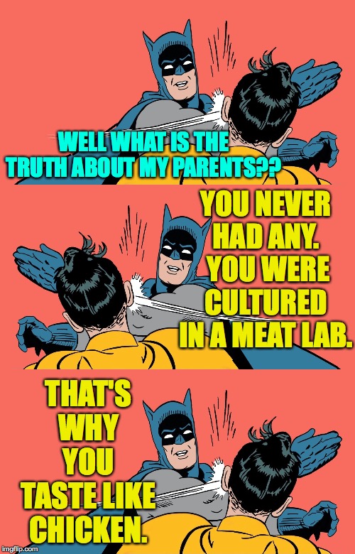Exciting revelation Part II. | WELL WHAT IS THE TRUTH ABOUT MY PARENTS?? YOU NEVER HAD ANY.  YOU WERE CULTURED IN A MEAT LAB. THAT'S WHY YOU TASTE LIKE CHICKEN. | image tagged in batman slapping robin,memes,shocker,meatwad,you may not like what you find,truth | made w/ Imgflip meme maker