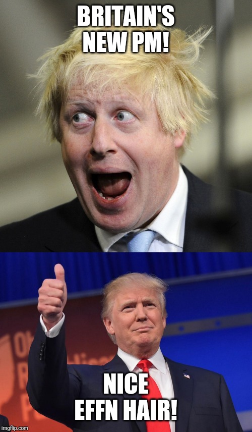 BRITAIN'S NEW PM! NICE EFFN HAIR! | image tagged in donald trump,boris johnson,politics,political meme | made w/ Imgflip meme maker