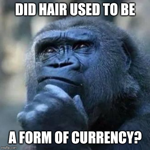 Thinking ape | DID HAIR USED TO BE A FORM OF CURRENCY? | image tagged in thinking ape | made w/ Imgflip meme maker