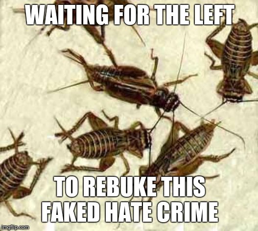 Crickets | WAITING FOR THE LEFT TO REBUKE THIS FAKED HATE CRIME | image tagged in crickets | made w/ Imgflip meme maker