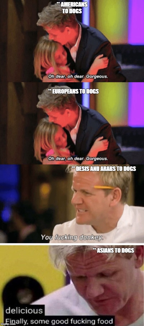** AMERICANS TO DOGS; ** EUROPEANS TO DOGS; ** DESIS AND ARABS TO DOGS; ** ASIANS TO DOGS | image tagged in gordon ramsay some good food | made w/ Imgflip meme maker