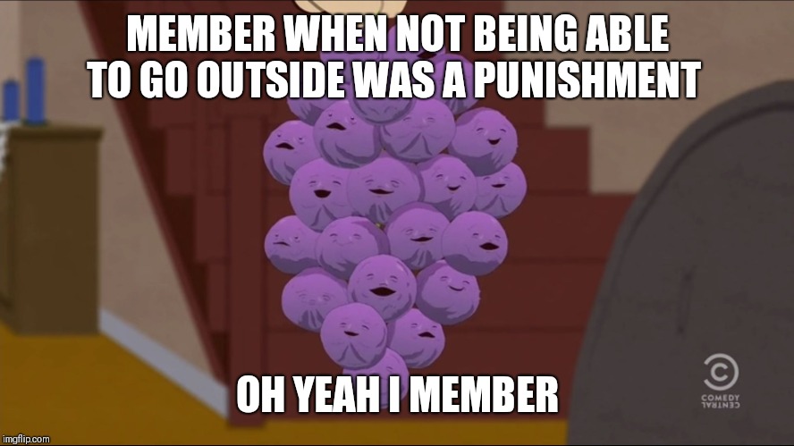 Member Berries Meme | MEMBER WHEN NOT BEING ABLE TO GO OUTSIDE WAS A PUNISHMENT; OH YEAH I MEMBER | image tagged in memes,member berries | made w/ Imgflip meme maker