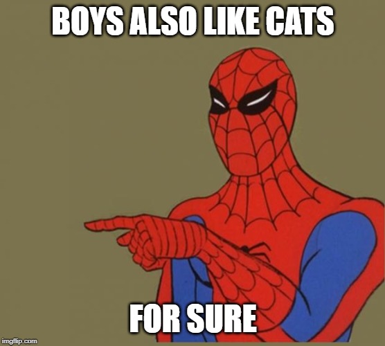spiderman | BOYS ALSO LIKE CATS FOR SURE | image tagged in spiderman | made w/ Imgflip meme maker
