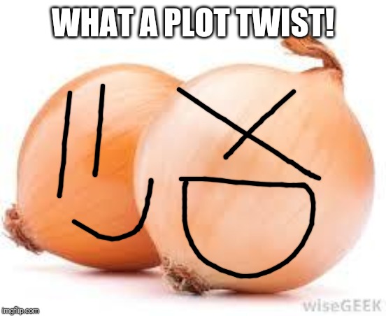 onions | WHAT A PLOT TWIST! | image tagged in onions | made w/ Imgflip meme maker