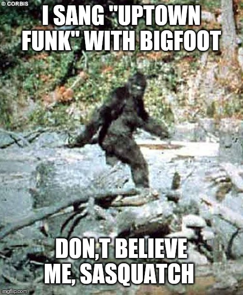 Bigfoot | I SANG "UPTOWN FUNK" WITH BIGFOOT; DON,T BELIEVE ME, SASQUATCH | image tagged in bigfoot | made w/ Imgflip meme maker