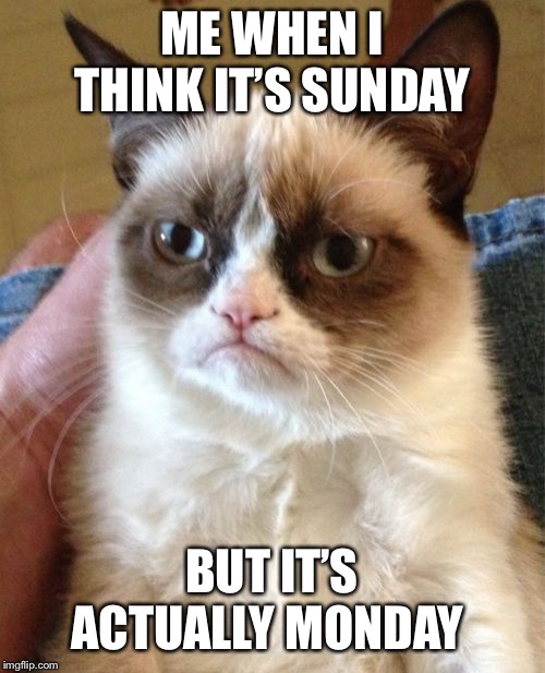 Grumpy Cat Meme | ME WHEN I THINK IT’S SUNDAY; BUT IT’S ACTUALLY MONDAY | image tagged in memes,grumpy cat | made w/ Imgflip meme maker