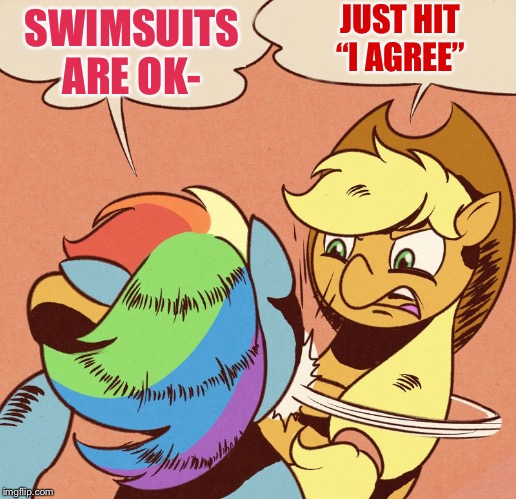 Apple Jack slapping Rainbow Dash | SWIMSUITS ARE OK- JUST HIT “I AGREE” | image tagged in apple jack slapping rainbow dash | made w/ Imgflip meme maker