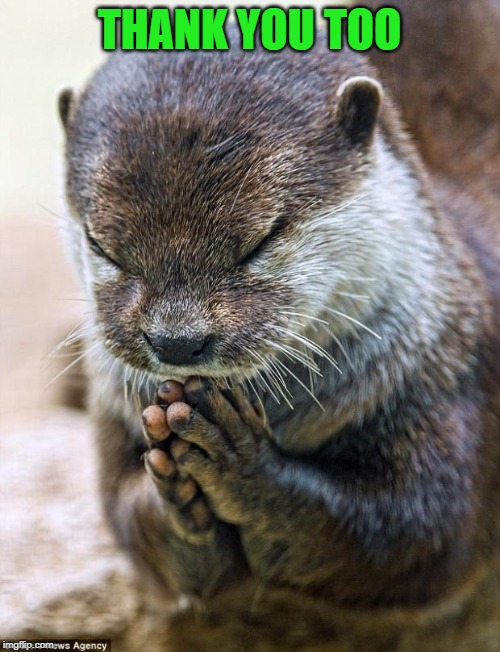 Thank you Lord Otter | THANK YOU TOO | image tagged in thank you lord otter | made w/ Imgflip meme maker