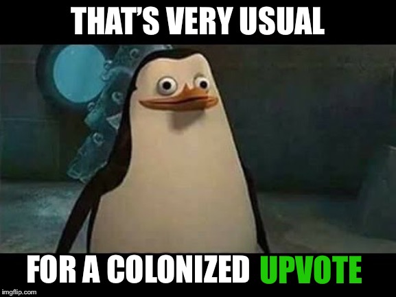 Confused penguin | THAT’S VERY USUAL FOR A COLONIZED UPVOTE | image tagged in confused penguin | made w/ Imgflip meme maker