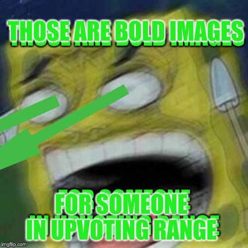 REEEEEEE | THOSE ARE BOLD IMAGES FOR SOMEONE IN UPVOTING RANGE THOSE ARE BOLD IMAGES FOR SOMEONE IN UPVOTING RANGE | image tagged in reeeeeee | made w/ Imgflip meme maker