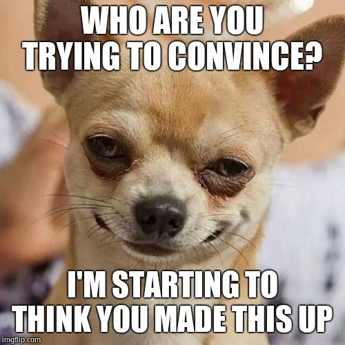 Smirking Dog | WHO ARE YOU TRYING TO CONVINCE? I'M STARTING TO THINK YOU MADE THIS UP | image tagged in smirking dog | made w/ Imgflip meme maker
