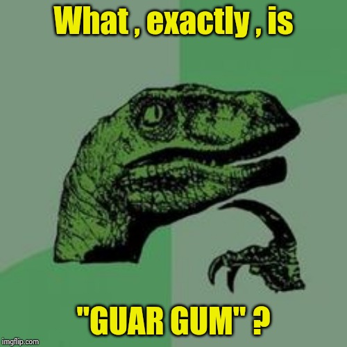 Time raptor  | What , exactly , is "GUAR GUM" ? | image tagged in time raptor | made w/ Imgflip meme maker