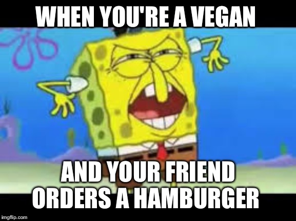 Who put you on the planet | WHEN YOU'RE A VEGAN; AND YOUR FRIEND ORDERS A HAMBURGER | image tagged in who put you on the planet | made w/ Imgflip meme maker