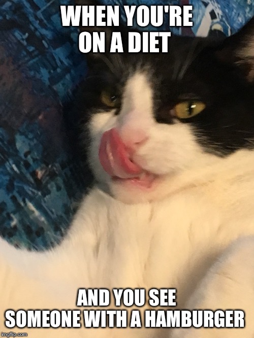 WHEN YOU'RE ON A DIET; AND YOU SEE SOMEONE WITH A HAMBURGER | made w/ Imgflip meme maker